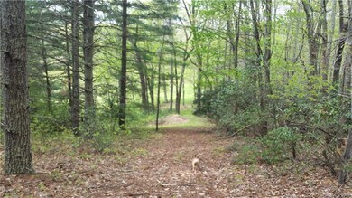 1628 Phipps Creek Rd, Burnsville, NC 28714 - photo 3