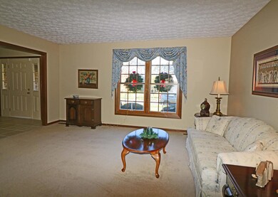 Double windows, plush carpet
