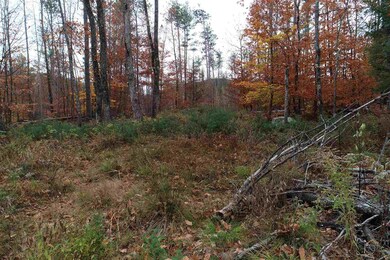 000 Old Portland Rd unit 10, Freedom, NH 03836 - photo 5