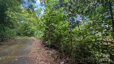 00 Chestnut Walk Dr unit 3, Waynesville, NC 28786 - photo 4