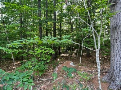 10 Grandval Way, Madison, NH 03849 - photo 4