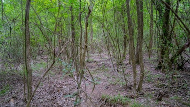 0000 Big Creek Rd, Byram, MS 39212 - photo 5