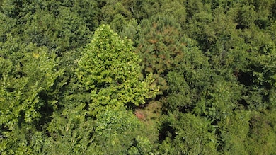 DJI_0178