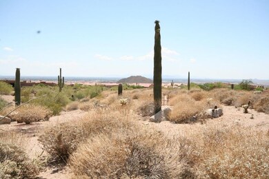 Custom Lot with Views