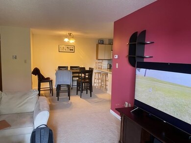 23 Elm St unit 208, Somerville, MA 02143 - photo 7