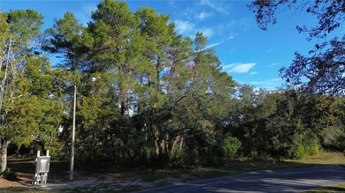 7931 Rhanbuoy Rd, Spring Hill, FL 34606 - photo 4