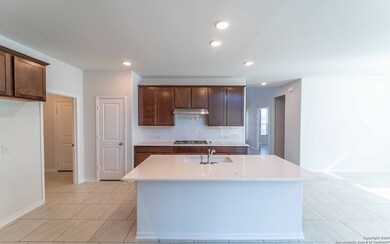 25039 Las Pilas, San Antonio, TX 78261 - photo 6