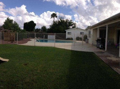 Yard/Pool