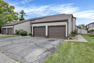 6-web-or-mls-939A0639