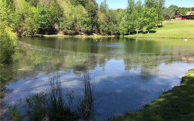 689 Blackberry Mountain Dr, Ellijay, GA 30536 - photo 4