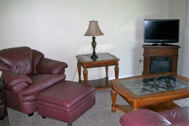 17 Fall Creek Trail, Branson, MO 65616 - photo 5