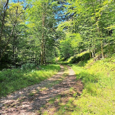 Doe Run Rd unit LotWP001, Galeton, PA 16922 - photo 2