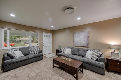 Large Living Room