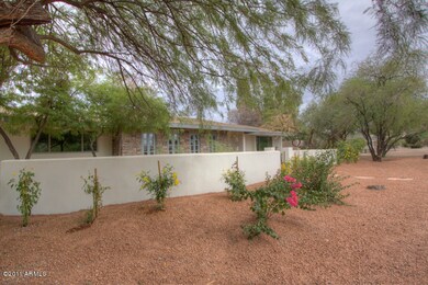 Front yard