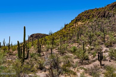 Saguaro National Park