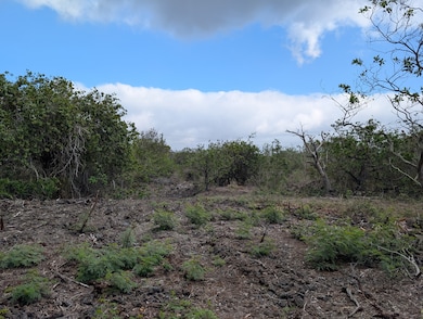 92-8415 King Kamehameha Blvd, Ocean View, HI 96737 - photo 2