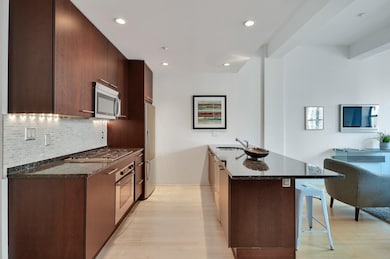 40 Fay St unit 407, Boston, MA 02118 - photo 7