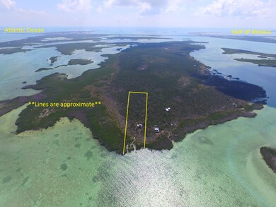 DJI_0711boundary line2
