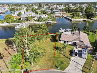 3485 Gulf Coast Dr, Hernando Beach, FL 34607 - photo 6