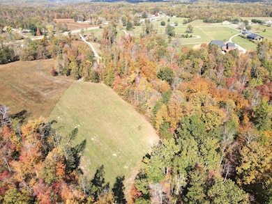 0 Cookeville Hwy unit RTC3047483, Smithville, TN 37166 - photo 5