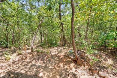 View of local wilderness