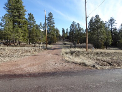 S. Pine Rd