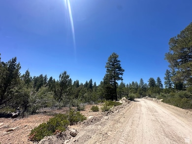 View of dirt / gravel road