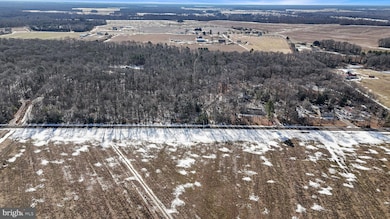 696 Spectrum Farms Rd, Felton, DE 19943 - photo 3