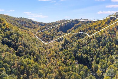 000 Hamburg Rd unit 49, Mars Hill, NC 28754 - photo 3