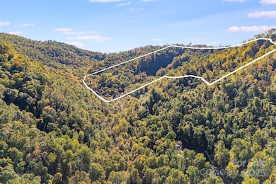 3440 Hamburg Rd, Mars Hill, NC 28754 - photo 3