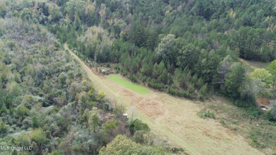 Food Plot:Stand on West Property Line