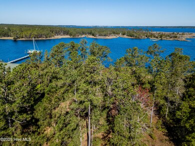 859 Winchester Way, Merritt, NC 28556 - photo 4