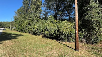 Griffin Road looking north