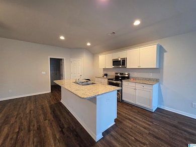 16388 Natchez Dr, Moundville, AL 35474 - photo 3