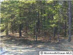 5 Spy Glass Ave, Barnegat, NJ 08005 - photo 6