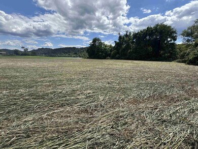 State Route 7, Proctorville, OH 45669 - photo 5