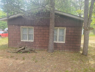 11426 N Bingham Ave, Bitely, MI 49309 - photo 3