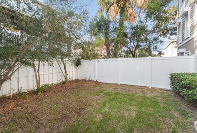 backyard 1