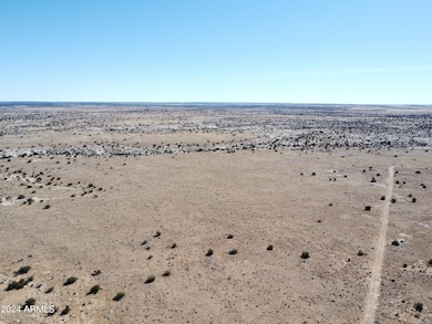 DJI_0215