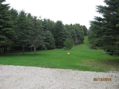 2910 220th Ave, Reed City, MI 49677 - photo 5