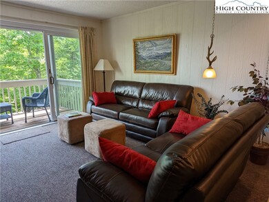 161 Skyleaf Dr unit E-7, Sugar Mountain, NC 28604 - photo 5