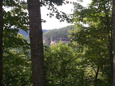 6 Steve Combs Rd, Wellington, KY 40387 - photo 4