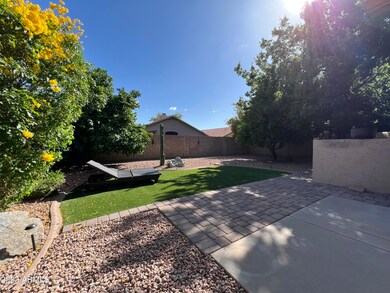 Low-Maintenance Backyard
