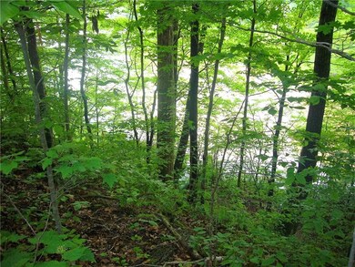 Lakefront; perfect place for a dock