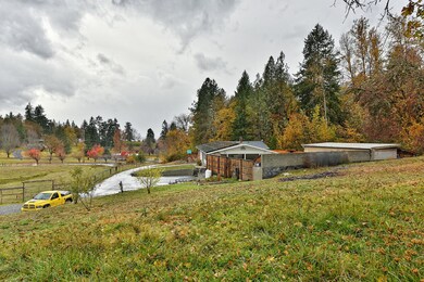 DSC_6274