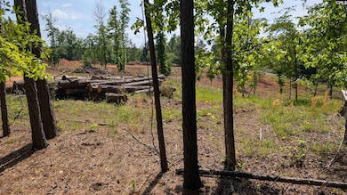 TBD Rolling Hills Rd, Ridgeway, SC 29130 - photo 5