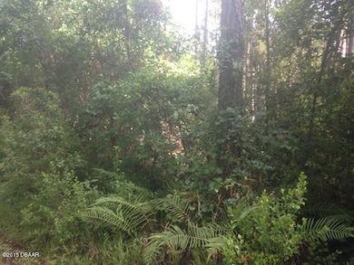 4613 Herin Dr, New Smyrna Beach, FL 32168 - photo 3