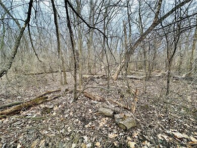 0.22 acres Sunfish Dr, Trempealeau, WI 54661 - photo 2