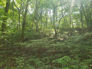 0 Houghton Ln unit 201936061, Loogootee, IN 47553 - photo 4