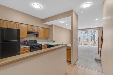 368 Glen Byrn Ct unit 11368A, Schaumburg, IL 60194 - photo 4